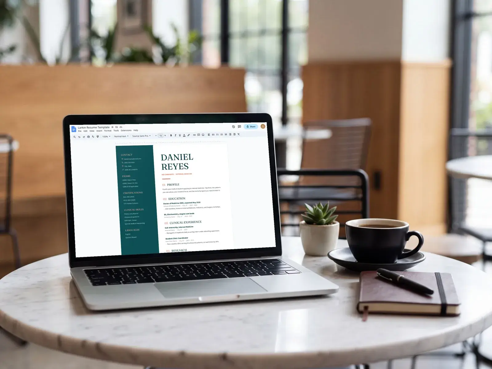 Medical Student & Residency CV Template for Google Docs, Word & Pages | The Larkin — image 7 of 7