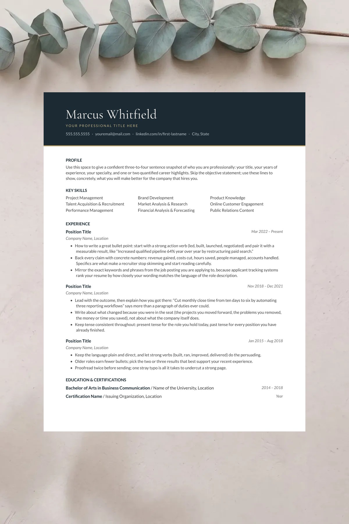Crest resume template for Google Docs, Word & Pages. ATS-friendly, one page, instant download.